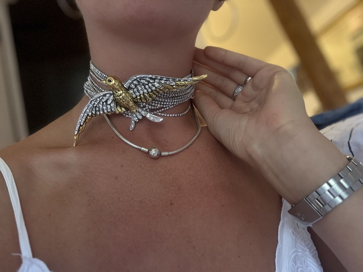 Catenine: Halskette Vogel – Usato da Dotzigen venduto da White_Warrior