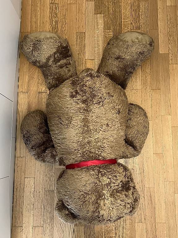 Giocattoli: Grosser Teddybär – Usato da Wädenswil venduto da esp_z8tb 2
