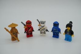 Lego Ninjago Figuren Bundle aus Set 71741-1 | City Gardens