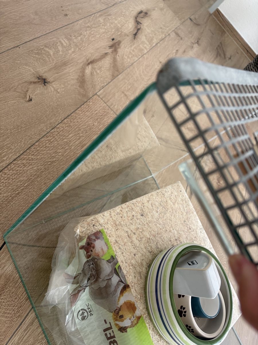 Terrario: Terrarium mit Gitterabdeckung  – Usato da Laupen ZH venduto da Elti2017 3