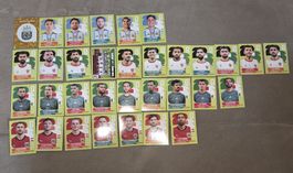 PANINI WM 26 GRUPPE J