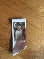 Panini CC12 Antonee Robinson