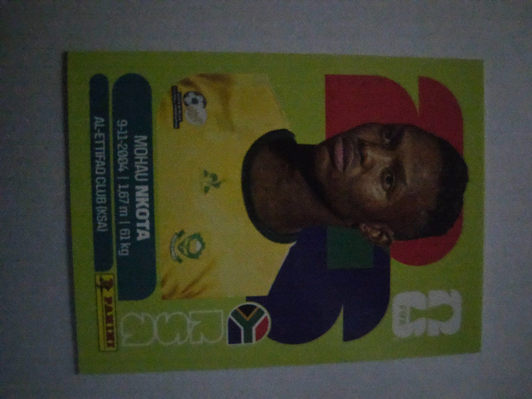 Panini Cartes à collectionner: RSA 19 – D'occasion à Würenlingen par Dinli