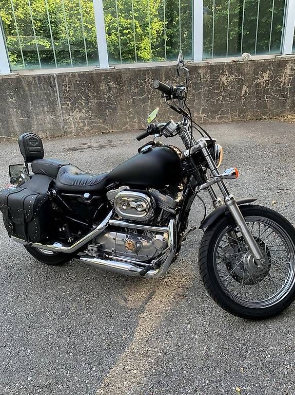 Chopper: vendo Harley Davidson 883 – Gebraucht aus Bellinzona von mimmo1966 1