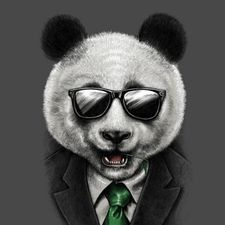 Profile image of PandMan92