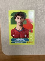 Panini POR 17
