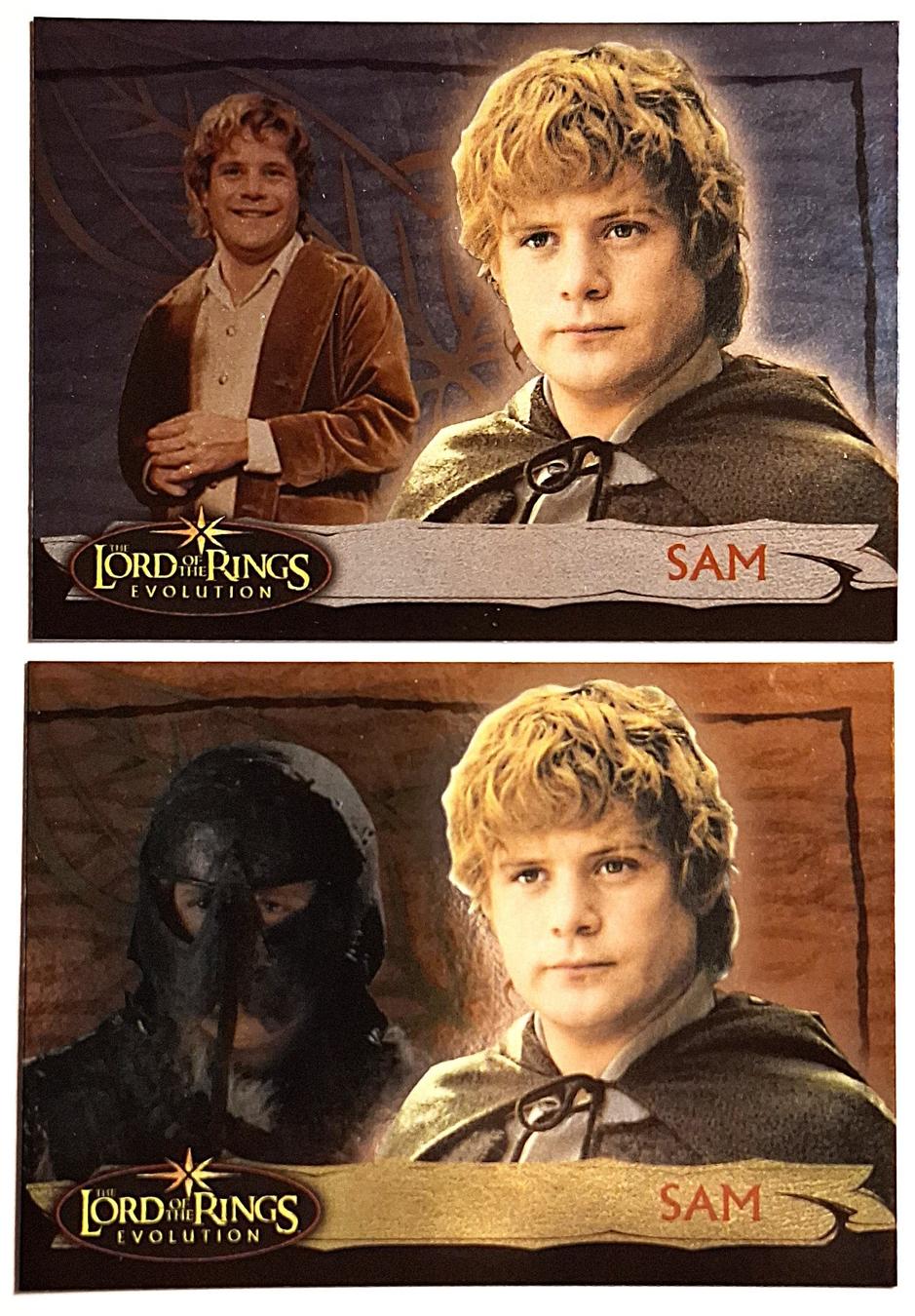 Herr der Ringe Sam Sammelkarten Set! Rarität! (Neu (gemäss Beschreibung ...