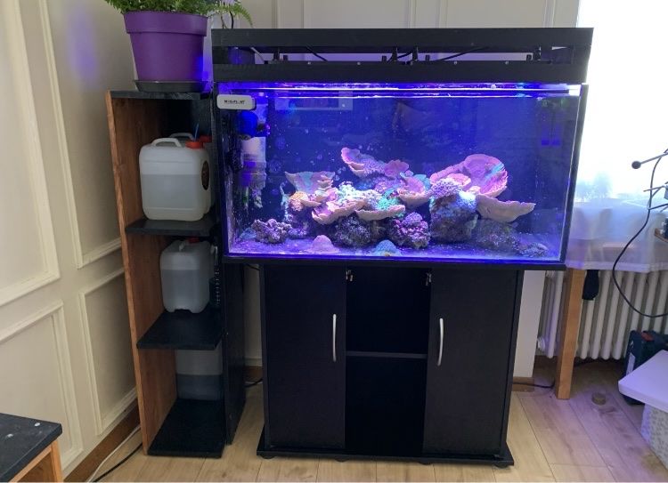 Aquarium Saule 200 Liter