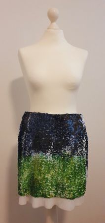 Rock Pailetten Zara NEU Grösse 34/XS