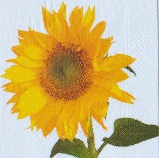Servietten: 2 Servietten  Sonnenblumen – Neu (gemäss Beschreibung) aus Basel von Happybaer