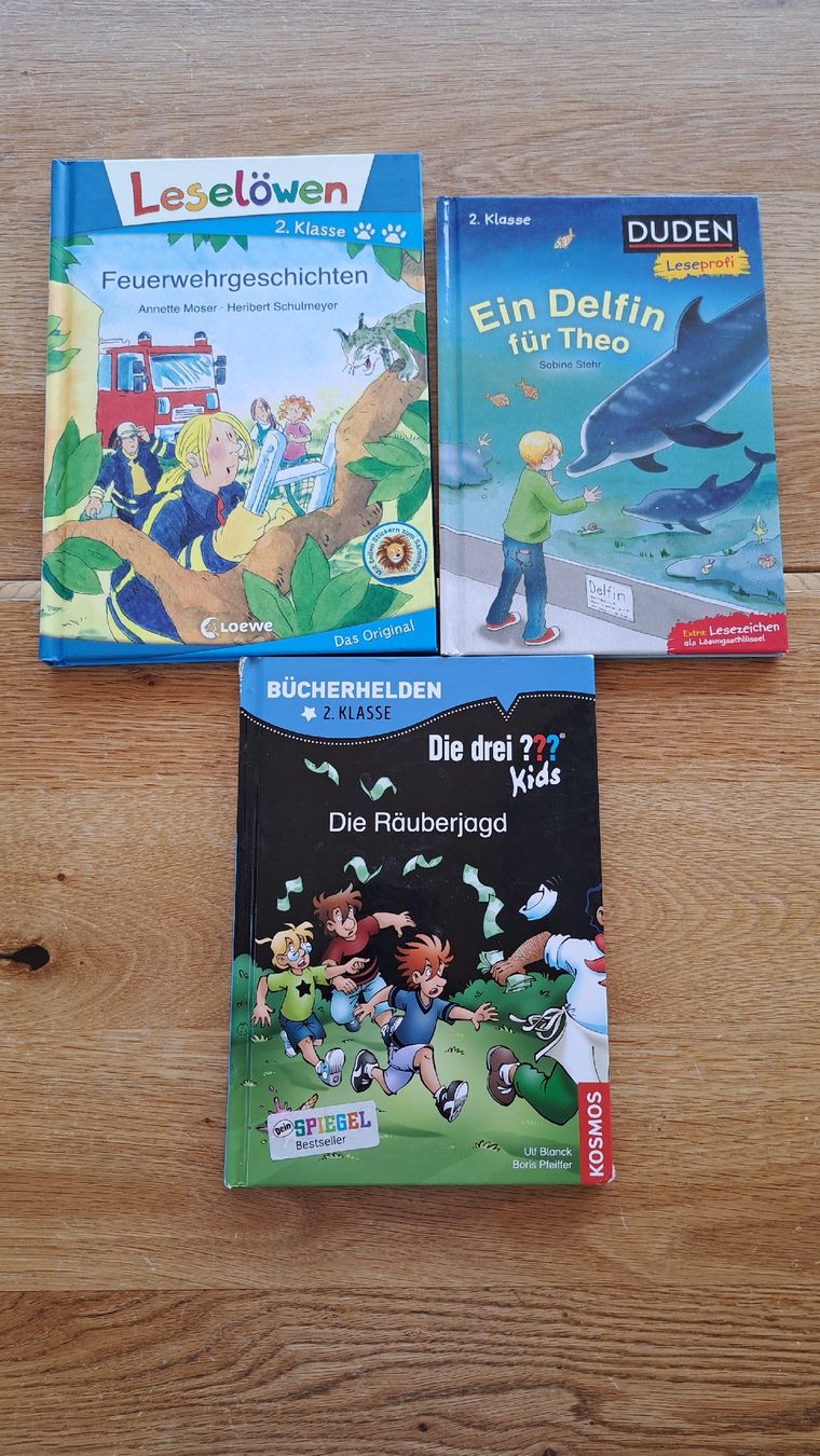 Livres: Leselöwen, Duden 1. Klasse – D'occasion à Mauren par juma0001