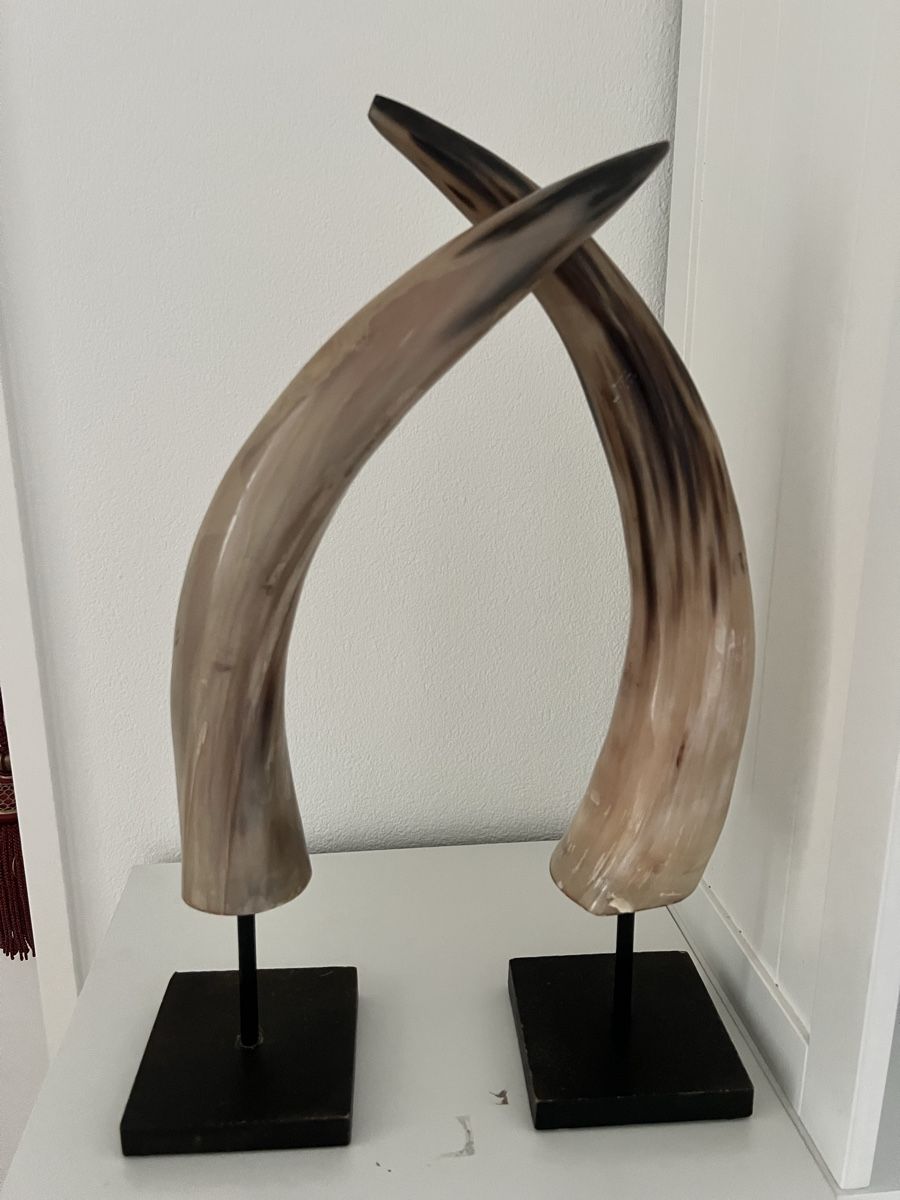 Maisons du monde Tutte le decorazioni: Mounted Horns Sculpture on Stands - Rustic Home Decor – Usato da Altendorf venduto da EncoreStyle