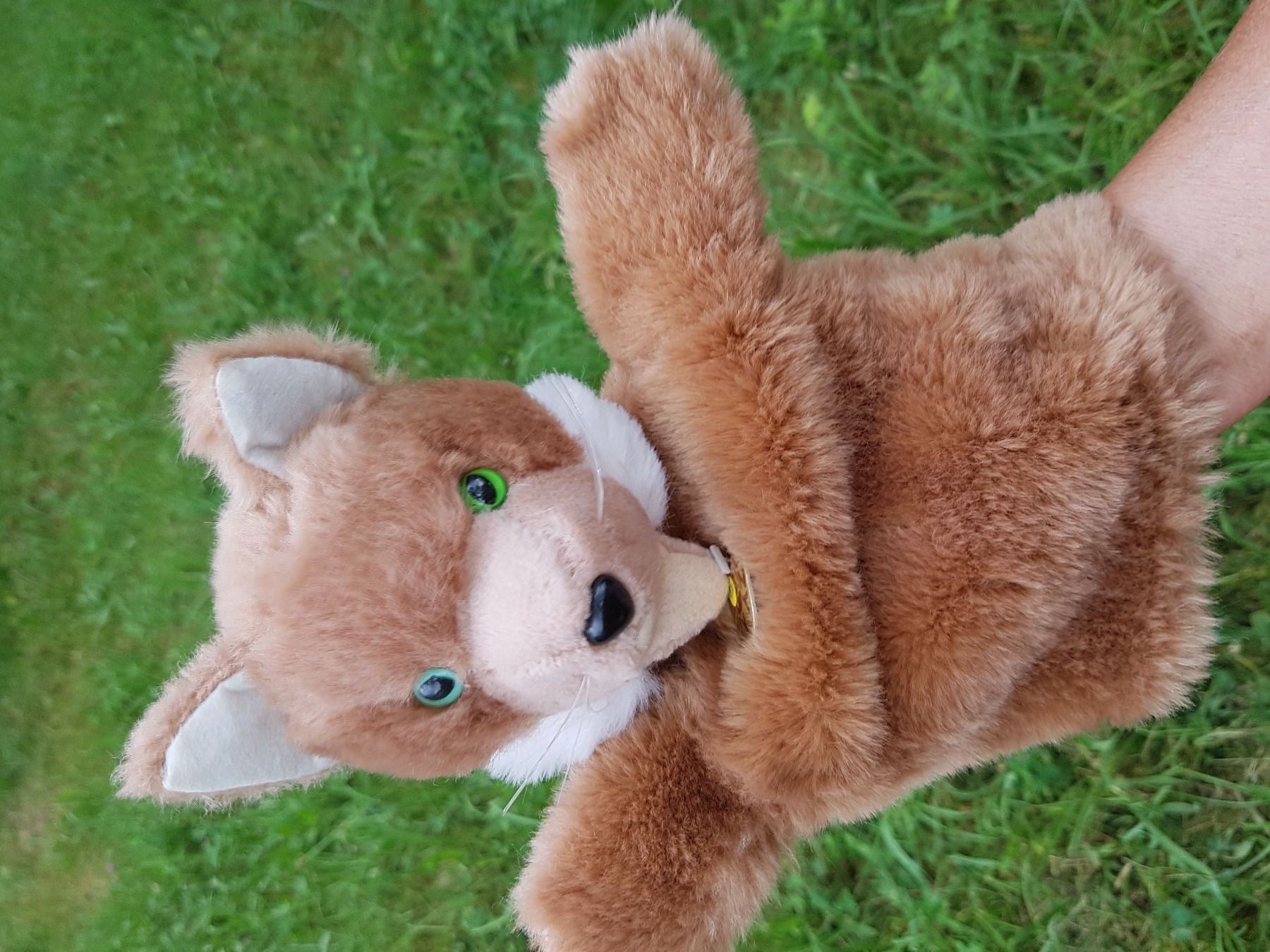 Bambole: Handpuppe Fuchs "SUZY QUALITY" / NEU – Nuovo e nell'imballaggio originale da Dürrenäsch venduto da Didaedi 2