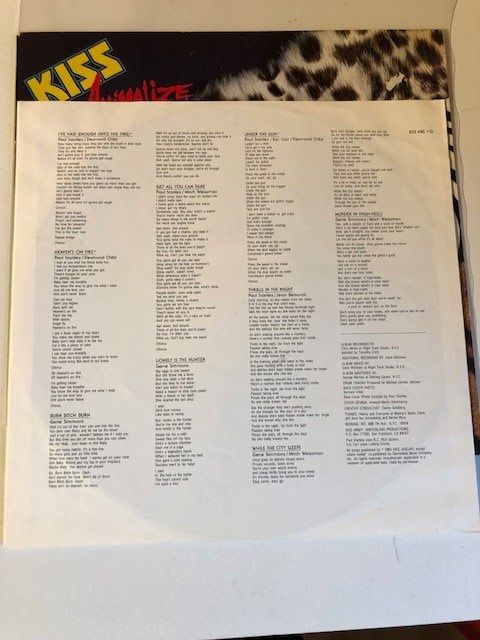 Dischi in vinile: Kiss – Usato da Aarwangen venduto da Jukebox3 4