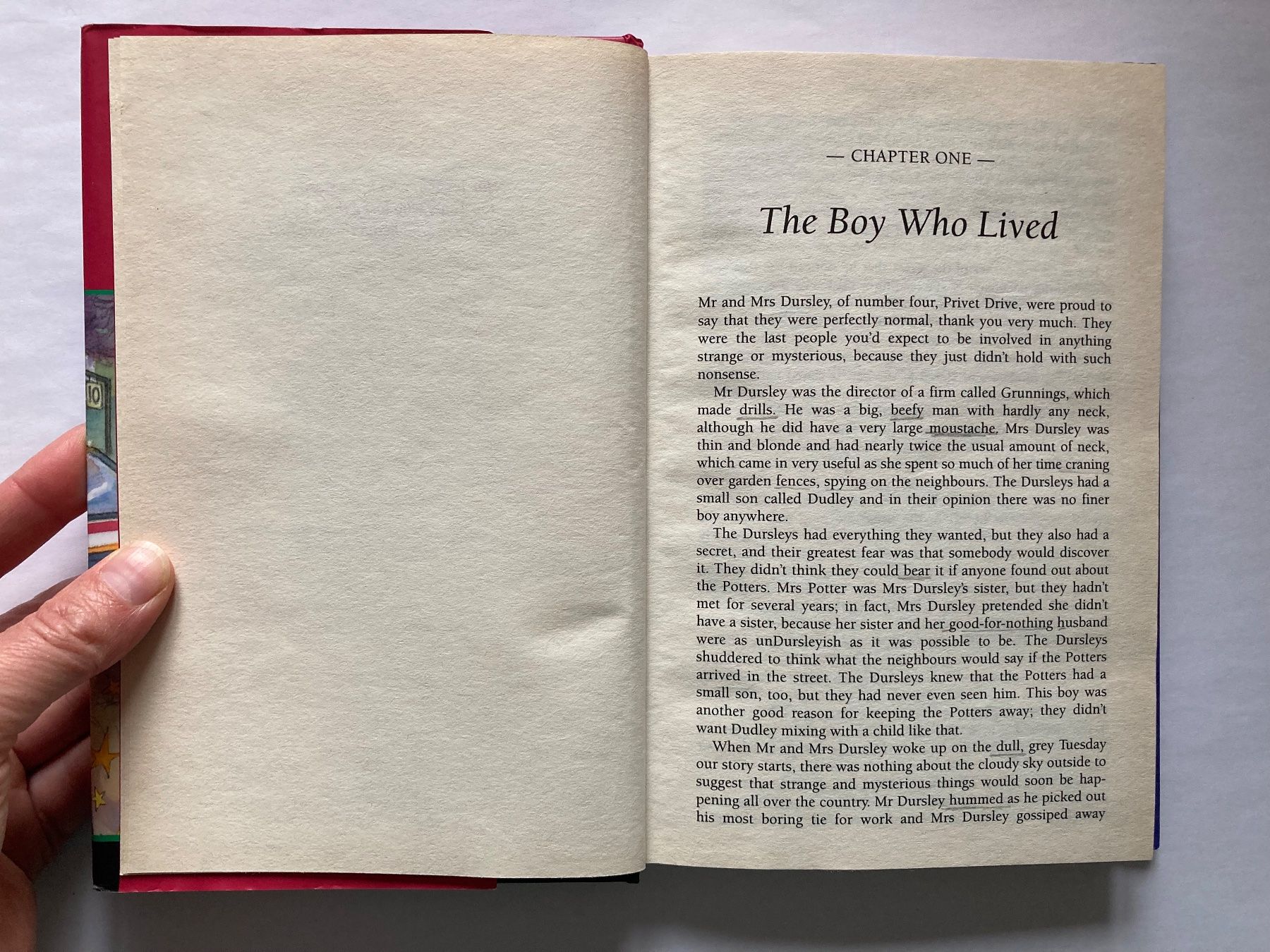 Libri: Harry Potter Philosopher's Stone - J.K. Rowling – Usato da Bubendorf venduto da Alpenheidi 5