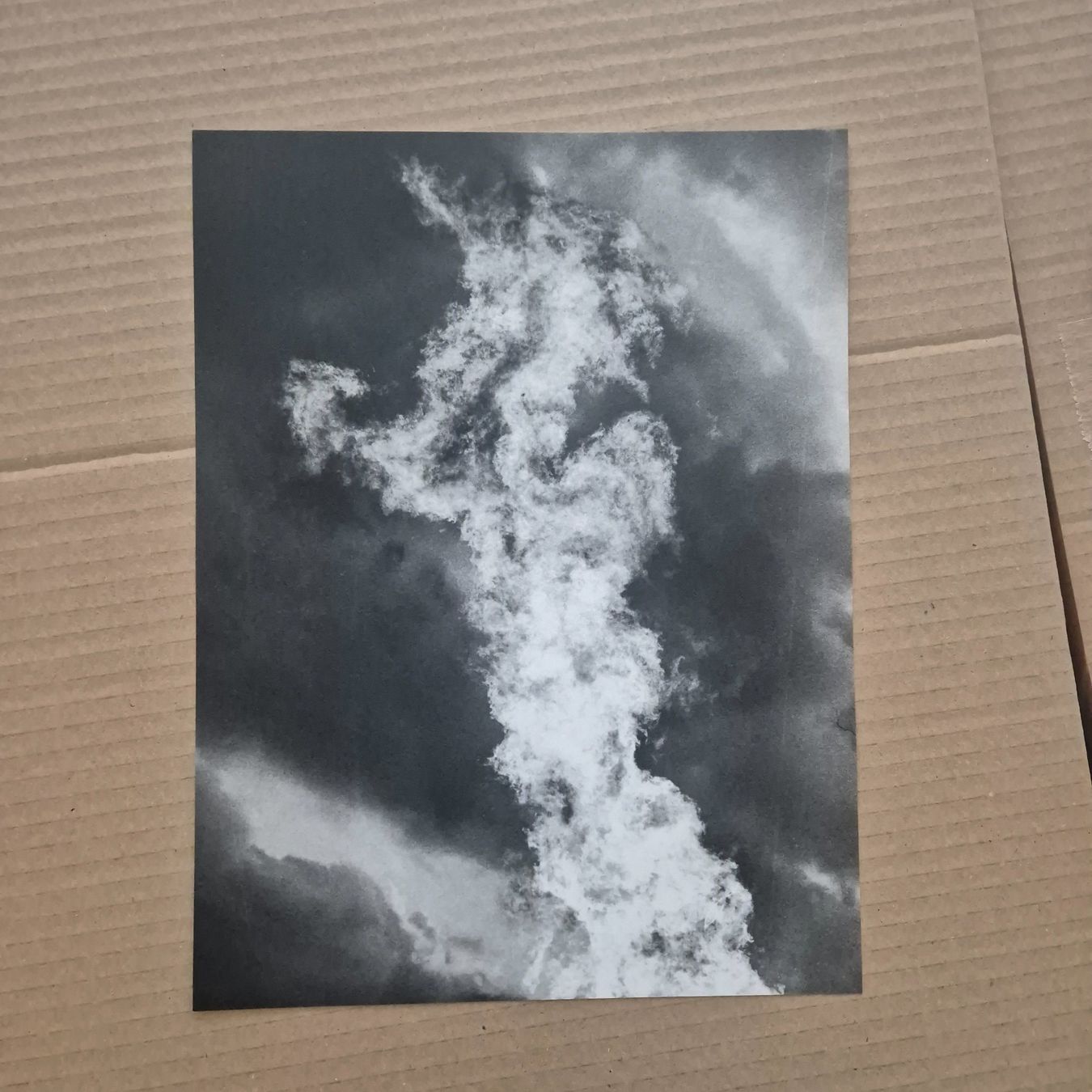 Foto & Immagini: Jochen Lempert original photo – Usato da Zürich venduto da MoPoMo