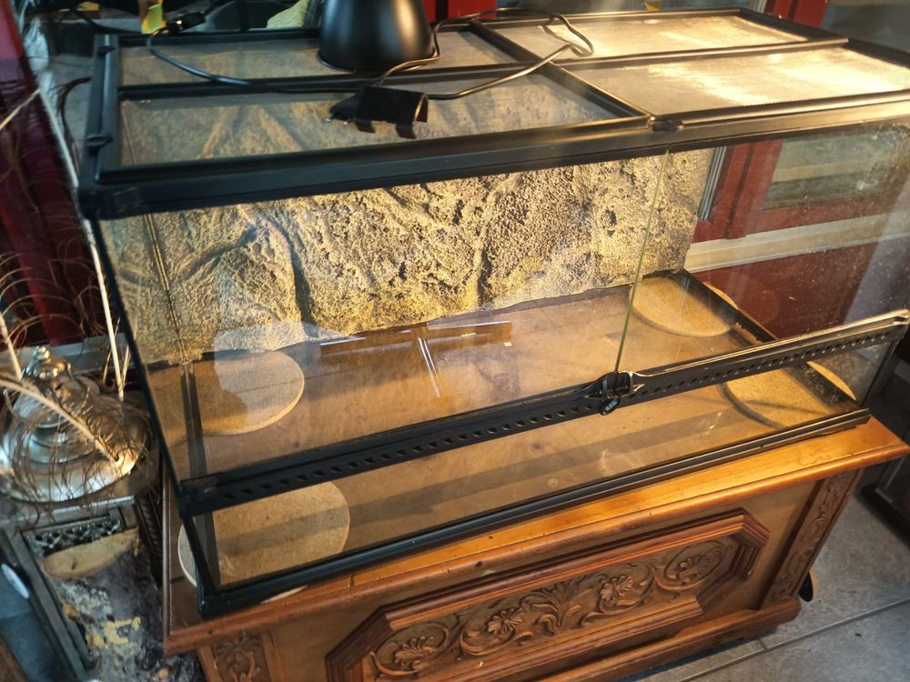 Exo Terra Glas Terrarium 90x45x45cm Kaufen auf Ricardo