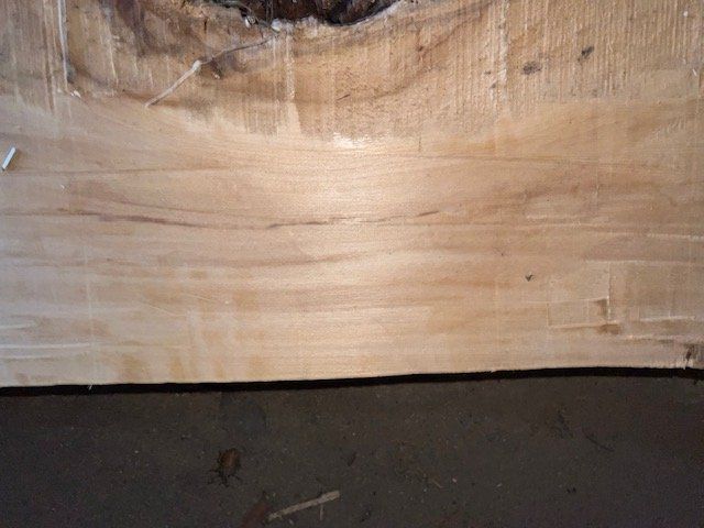 Articles en bois: Lindenholz-Stamm – D'occasion à Härkingen par Mada90 4