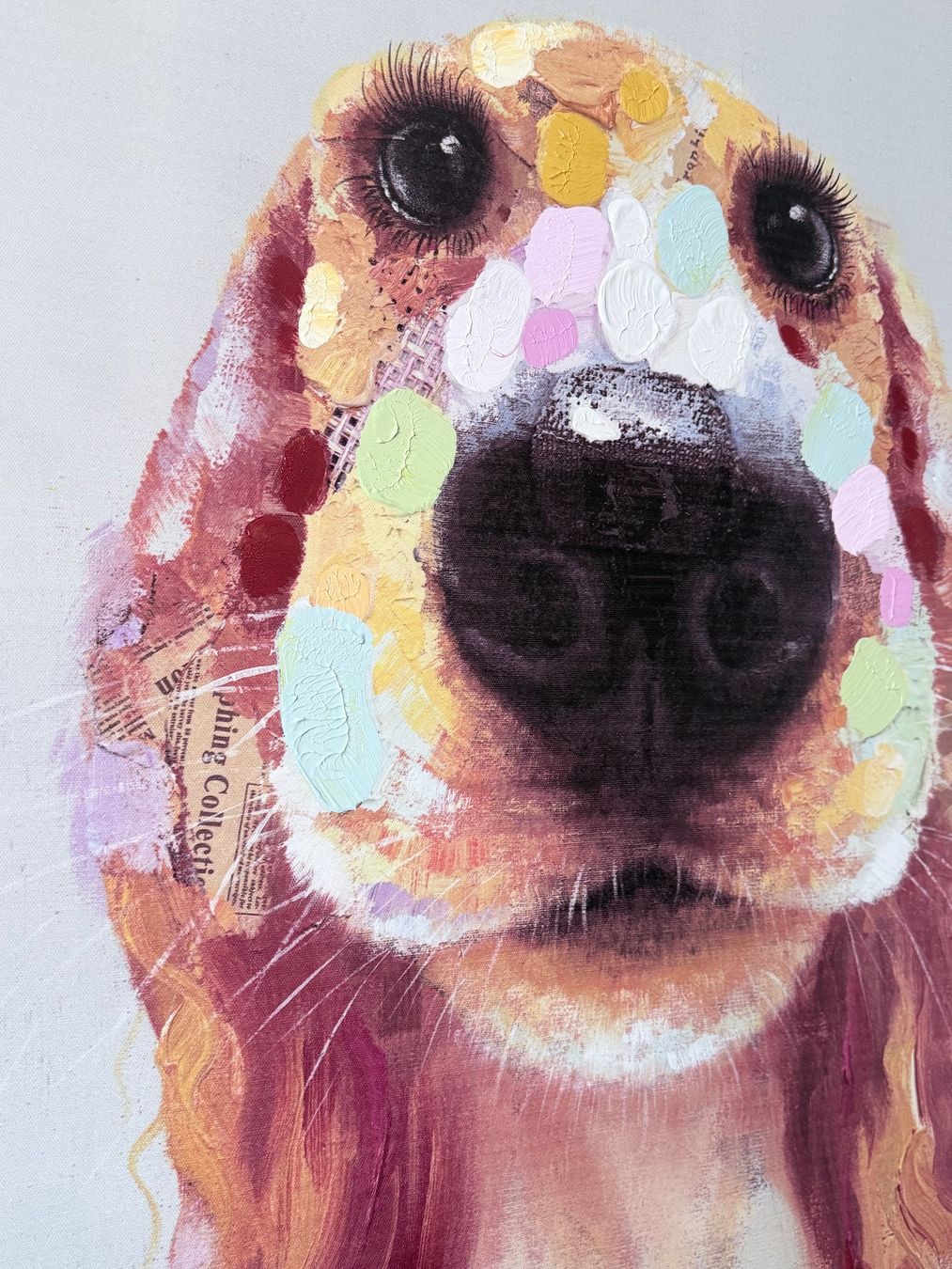 Foto & Immagini: Leinwandbild Hund 90x90 cm – Usato da Wermatswil venduto da FEDN 3
