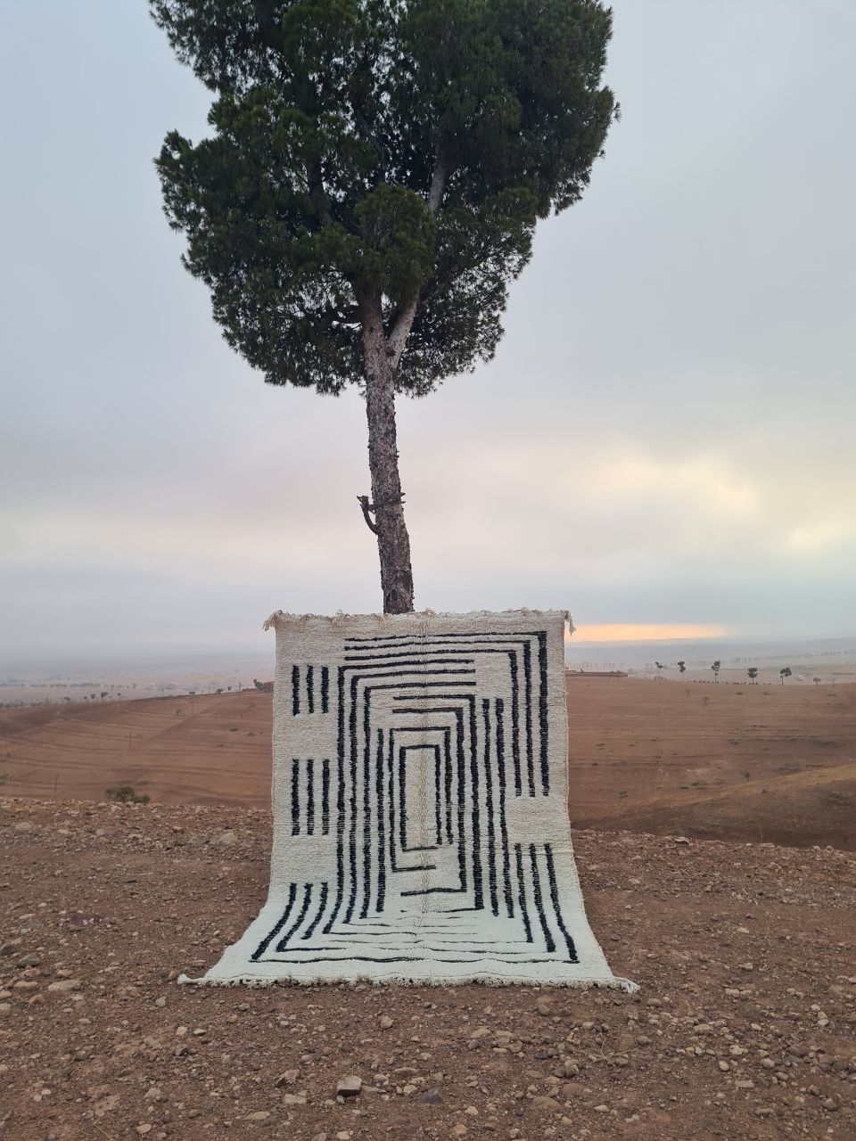 Tappeti: Teppich BeniOurain 300 cm / 200 cm – Nuovo e nell'imballaggio originale da Crans-Montana venduto da RedRugs09 4