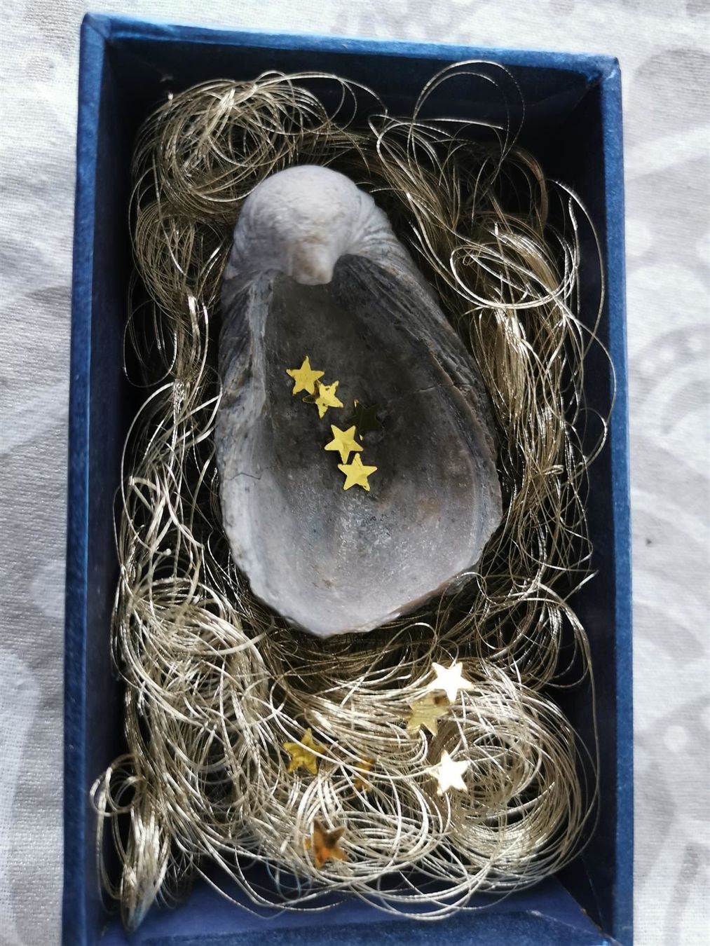 Fossili: Gryphaea arcuata als Geschenk – Usato da Olten venduto da smiples 6