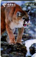 Telefonkarte "Puma"