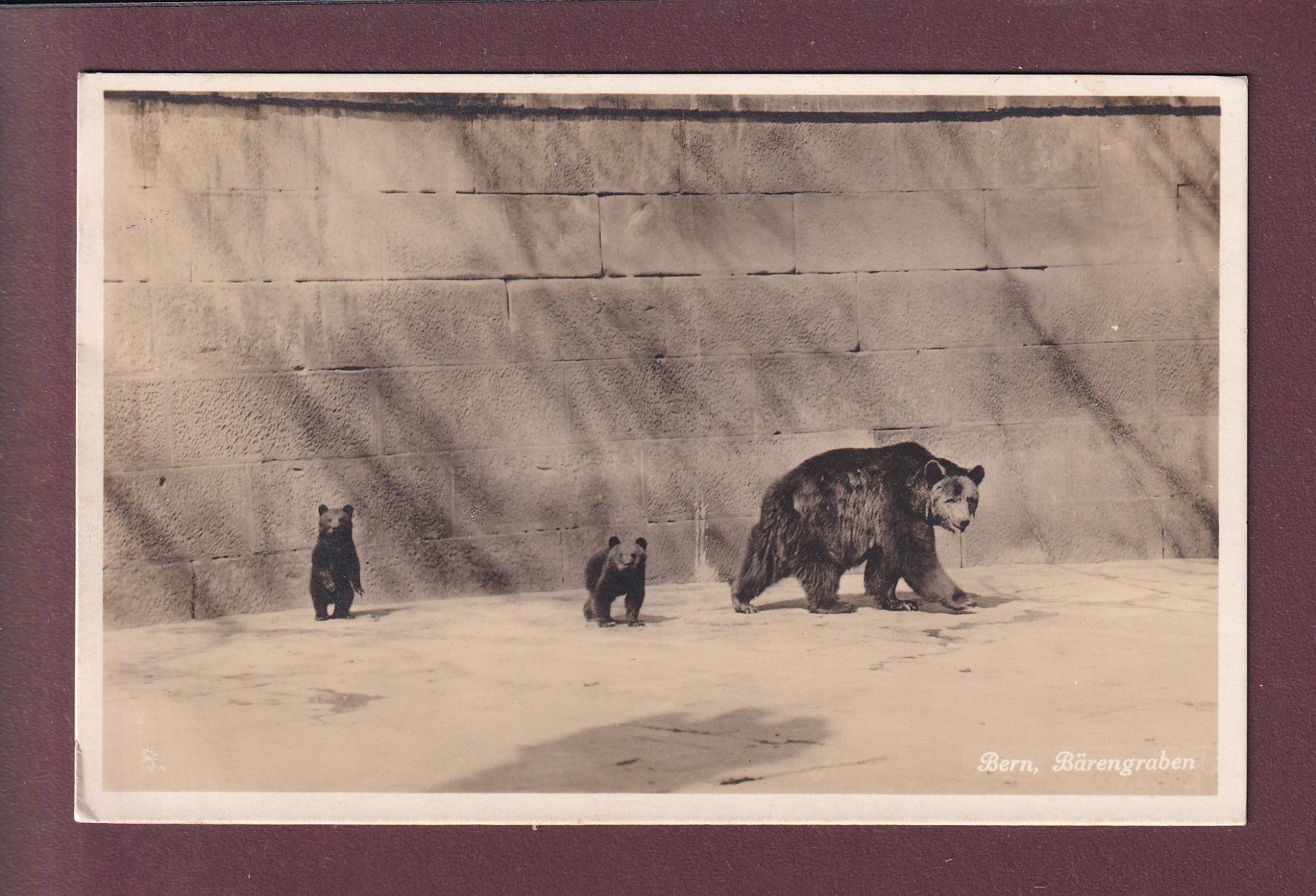 Cartoline postali: BERN - Bärengraben - 1927 – Usato da Pully venduto da nicecards