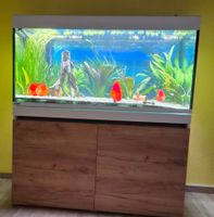 Dringend Eheim Incpiria 430 inkl Inhalt, Zubehör und Fischen