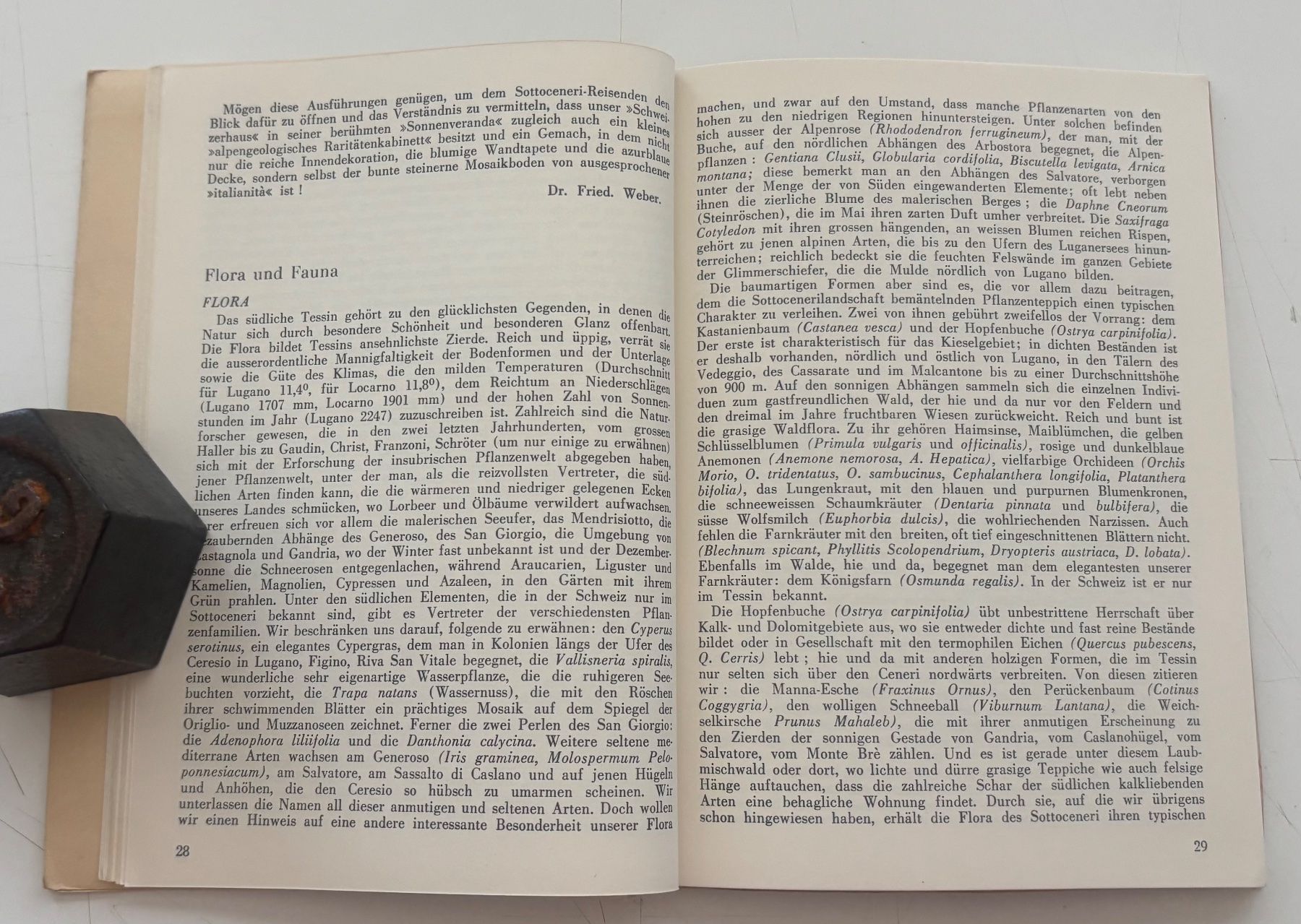 Libri: Strade Postali del Ticino Meridionale - Poststrassen im S... – Usato da Neuchâtel venduto da gefdeneuch 7