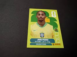Panini FIFA WM 2026 Sticker João Pedro BRA 16