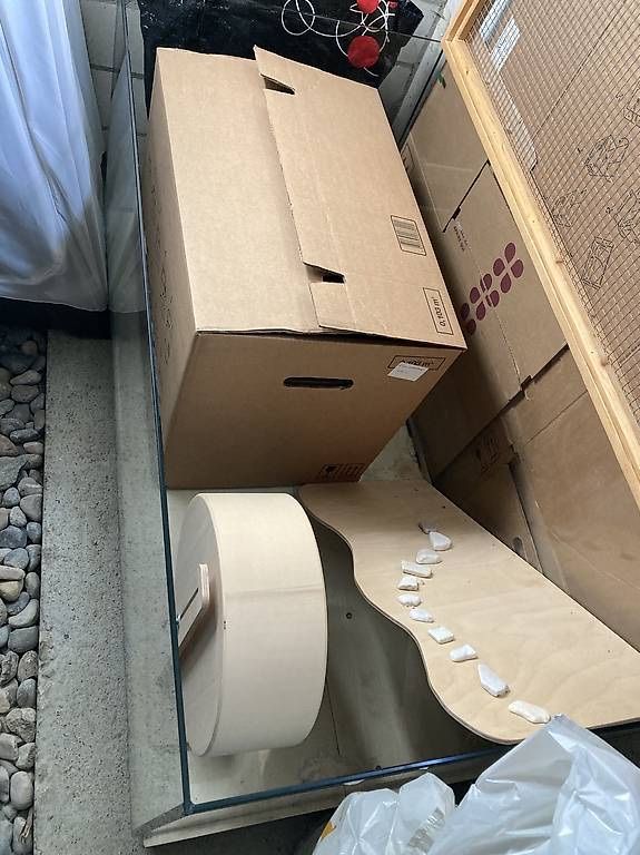 Gabbie, trasporto & Sicurezza: Hamsterkäfig mit div. Zubehör – Usato da Niederscherli venduto da Marom88 4