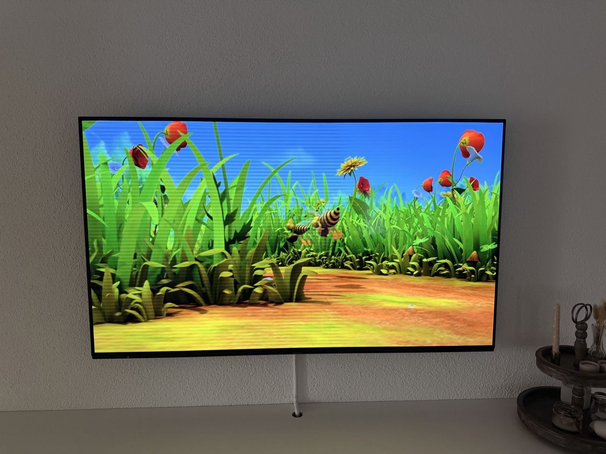 Panasonic Fernseher: Fernseher 65 Zoll, hat Streifen – Defekt aus Inwil von adriana231