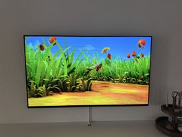 Fernseher 65 Zoll, hat Streifen
