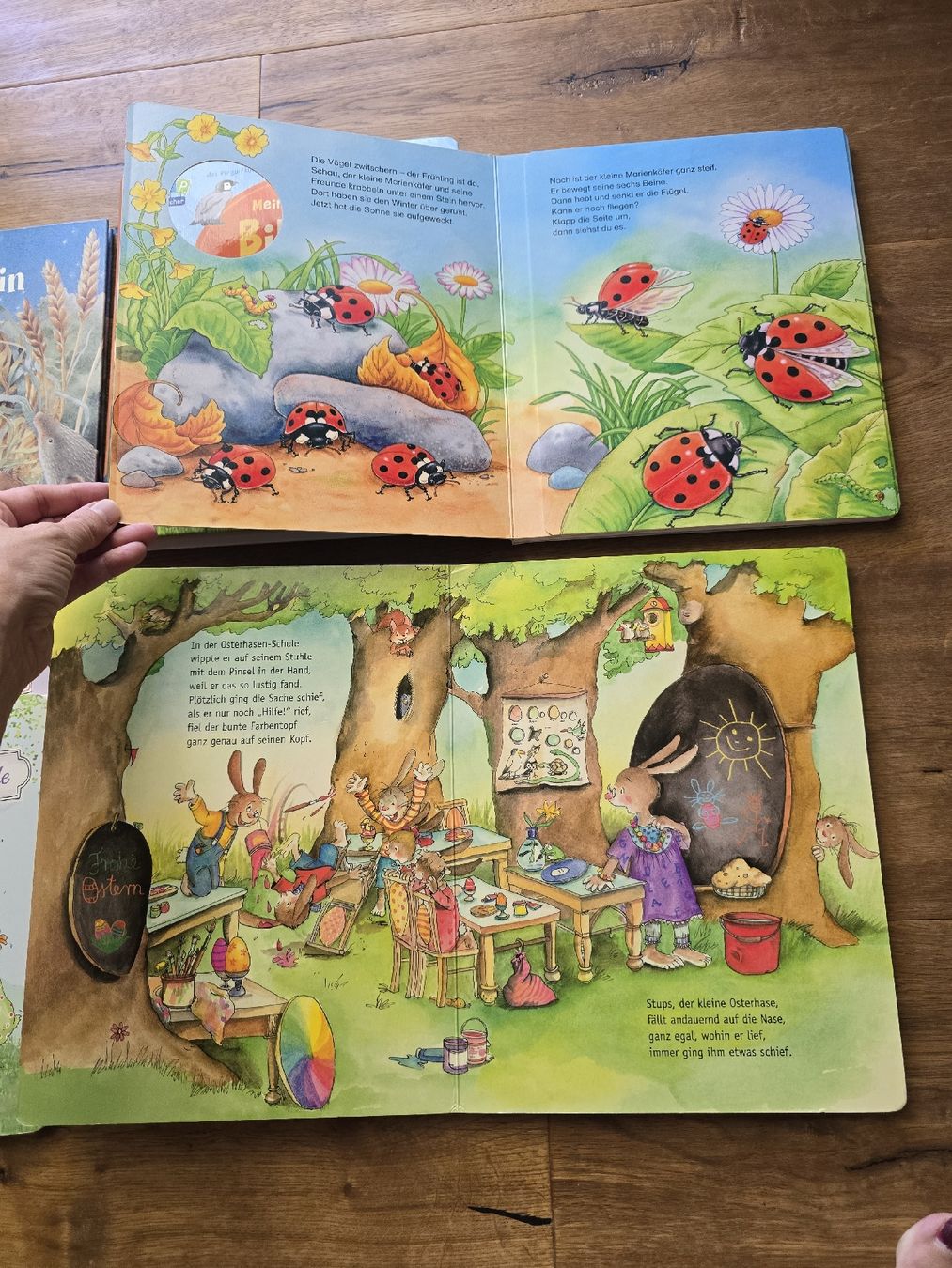 Libri: Kinderbuch Set 6 Stck set  guter Zustand – Usato da Wittenbach venduto da Tigerlili 1