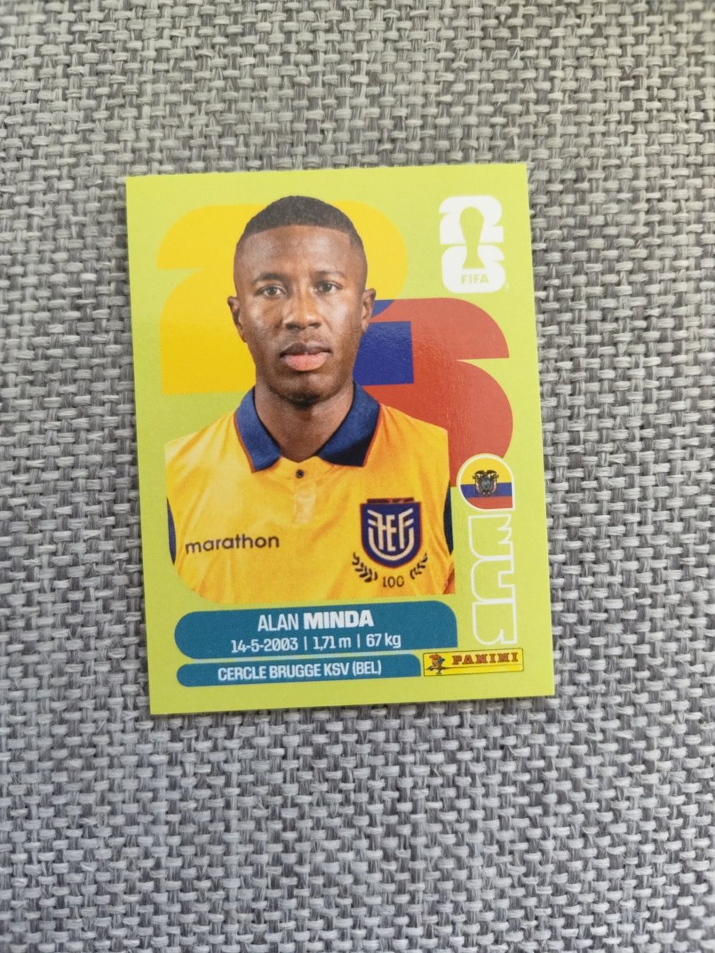 Panini Carte collezionabili: Panini WM 2026 ECU 18, Minda – Usato da Aarburg venduto da gloeckgloeck