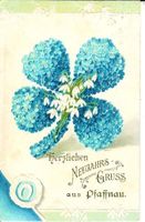 Pfaffnau LU Neujahrs Gruss mit Blumen 1906 sehr gut erhalten