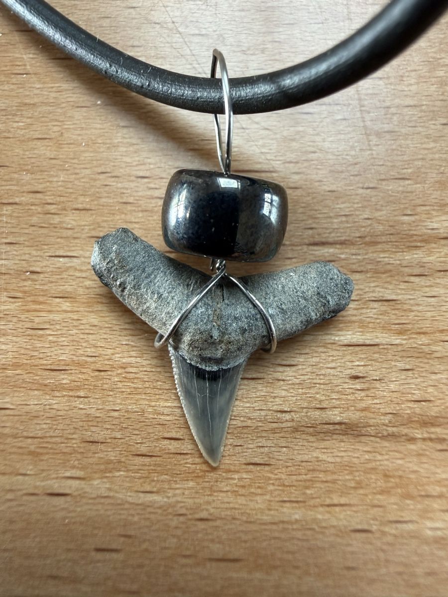 Catenine: Kette mit Haifischzahn-Anhänger – Usato da Grenchen venduto da Bastet007 2
