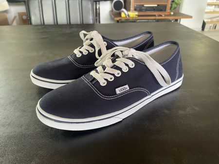 Chaussure Basquette Vans Taille 39