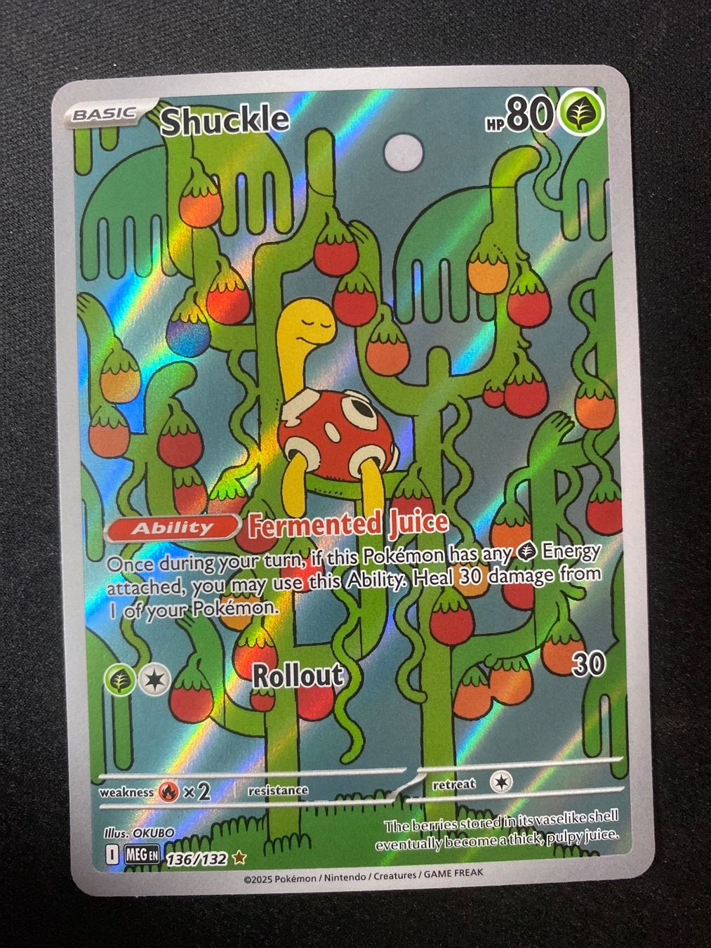 Pokémon Carte collezionabili: Shuckle 136 - Pottrott - Illustr. Rare - Mega Evolution - EN – Nuovo (secondo la descrizione) da Hausen AG venduto da Shrade