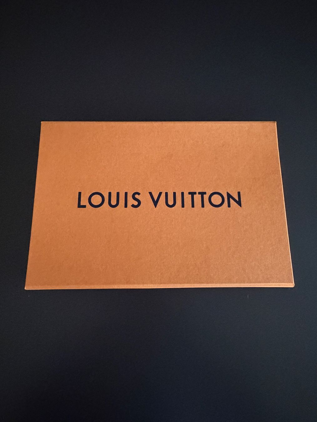 Louis Vuitton Sonstige Dekorationen & Accessoires: Louis Vuitton Box gebraucht – Gebraucht aus Kriens von Cyprinuscarpio