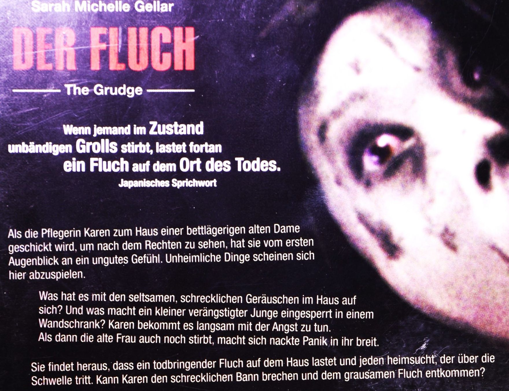 Tutti i DVDs: DER FLUCH - EIN ORT DES TODES - SPANNENDER, BRUTALER HORROR – Nuovo (secondo la descrizione) da Luzern venduto da piro12 2