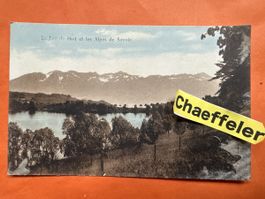 Le Lac de Bret, et les Alpes de Savoie