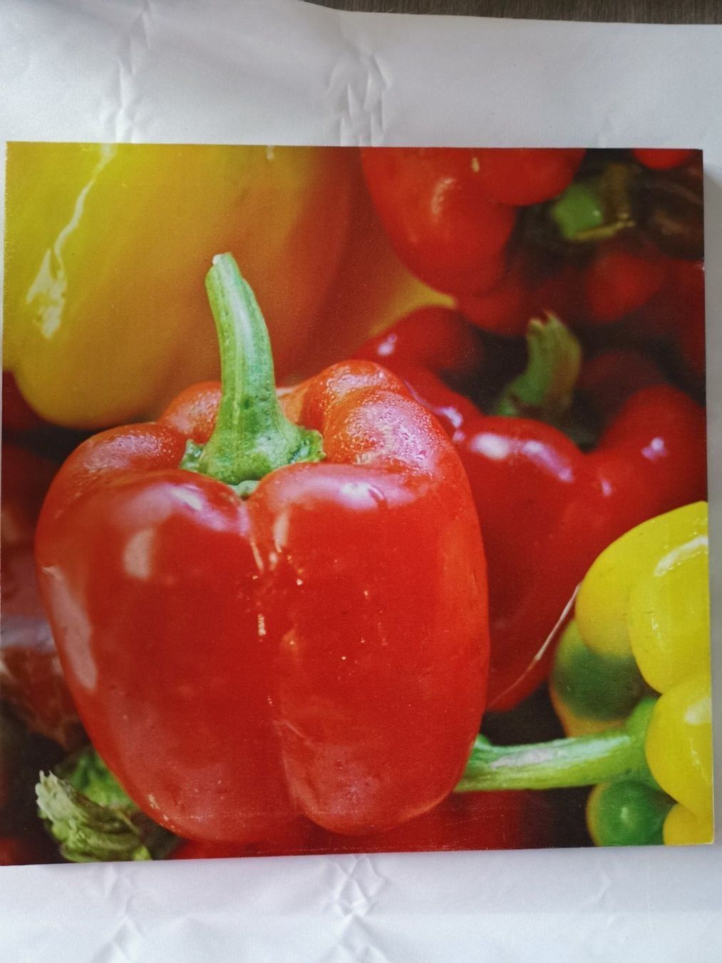 Poster & Bilder: Bild Peperonis 40 x 40cm – Gebraucht aus Kleinandelfingen von jessi2209