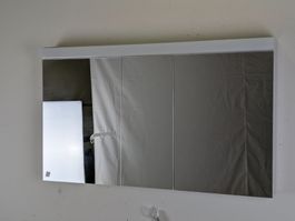 Schneider Spiegelschrank LOWLINE ca 77x130 (17)