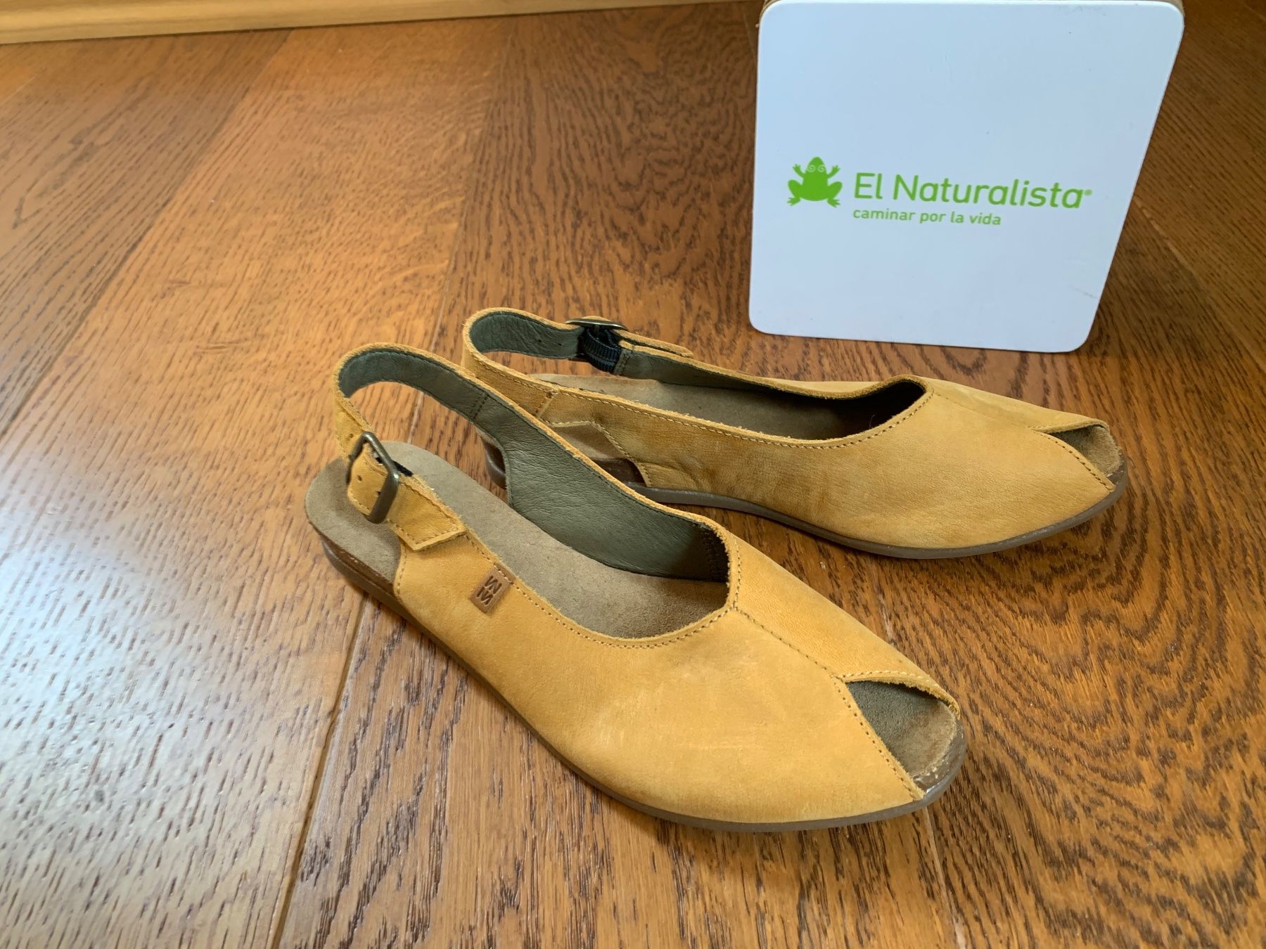 El Naturalista Scarpe da donna: El Naturalista Stella sun Gr.37 – Nuovo (secondo la descrizione) da Zürich venduto da finsti 1