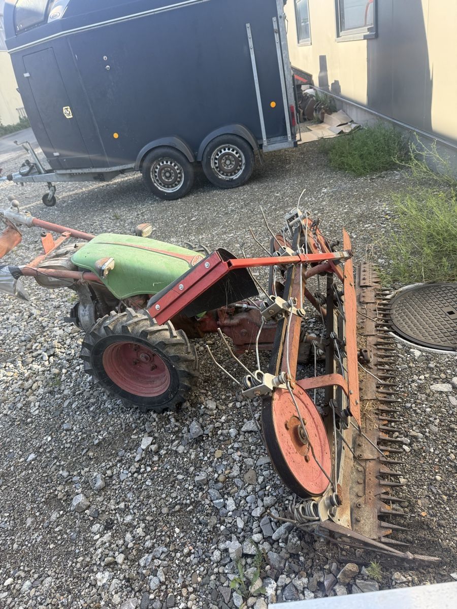Toutes les machines: Motormäher Rapid  – D'occasion à Eichberg par Weder236 2