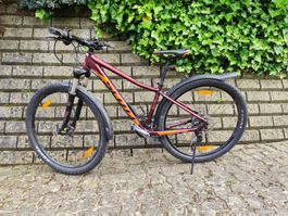 Scott MTB 29 Zoll, Rgr. M