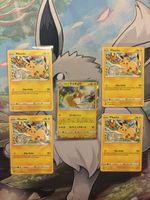 Pokemon Pikachu Set und Alolan Raichu Holo 🇯🇵🇺🇸⭐️🙀