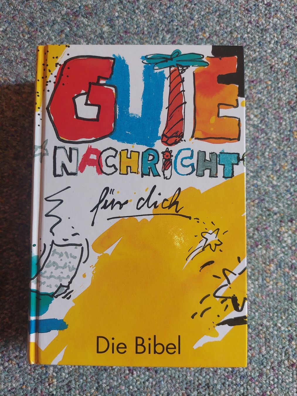 Bücher: Bibel – Gebraucht aus Neftenbach von Kim_Baggi