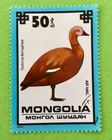 Briefmarken aus Mongolei Geschützte Vögel gestempelt 